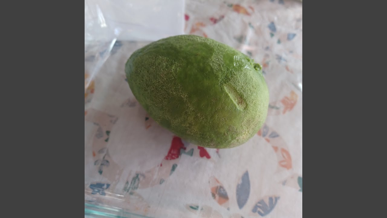 Watch Festive bounce on YouTube Watch Festive bounce on YouTube