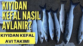 Kıyıdan Kefal Nasıl Avlanır? Çarpma ile Balık Avı (2021) 🎣