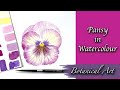 Painting a pansy in watercolour  botanical art