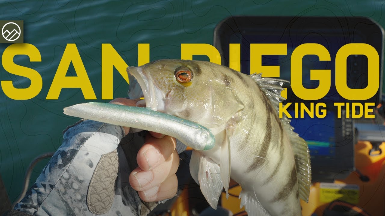 Люблю и ненавижу залив Сан-Диего… Пока не случится ВОТ ЭТО (рыбалка во время прилива!)