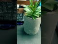 pixel10 pro videos 🔥 #tech