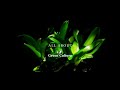 4k all about green culture full version