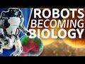 The 5 Levels of the Biorobotics Revolution
