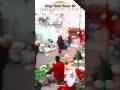 #shorts Dard Hain Chukhan Hain Kya Diwana Pan Hain | दर्द हैं चुखान हैं क्या दिवाना पन है#shortvideo