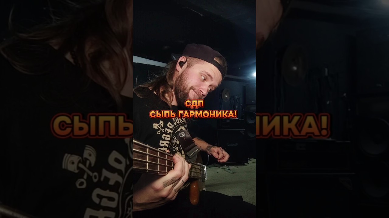 СДП - СЫПЬ ГАРМОНИКА😃(Cover by WALDSTREET) METAL VERS 