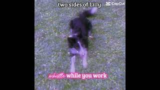 Whistle while you work…?
