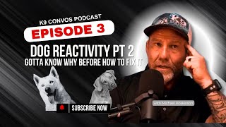 K9 Convos Episode 3 Part 2: Understanding and Fixing Dog Reactivity Causes – Excitability vs Fearful