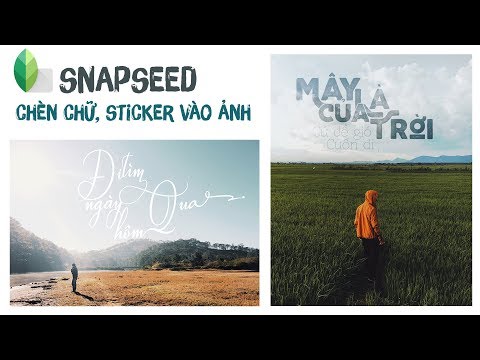 Không cần Picsart, SNAPSEED vẫn Chèn Chữ Vào Ảnh ngon lành, nhanh, chất lượng