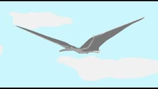 PL2: PTEROSAURS: PTERODACTYLOIDS