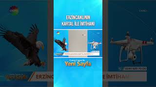 Kartal çekim için kullanılan dronu havada kaptı | #YeniSayfa #shorts