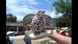 EQV2:  Fiestas de Quioquitani, Parte I