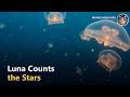 Luna Counts the Stars 🌙 A Calm Counting Bedtime Story (1–10) | Sleep Story for Kids