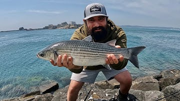 Huge Mullet Caught On A Float - Float Fishing For Mullet - Pier Fishing - Shore Fishing Uk