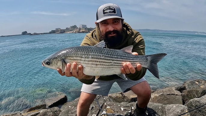 How to Catch Big Mullet on the Float - A Complete Guide to Float