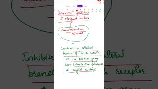 Gate control mechanism | Pain gate theory | Part 2