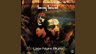 Late Night Blues CD2 (Continuous Mix)