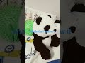 Papa Bear versus penguin 🐧 April 25 2026 #funny