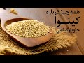 خواص و مضرات کینوا و دستور تهیه چند غذا با کینوا