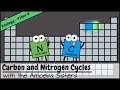 Carbon and nitrogen cycles