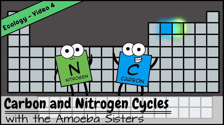 Carbon and Nitrogen Cycles