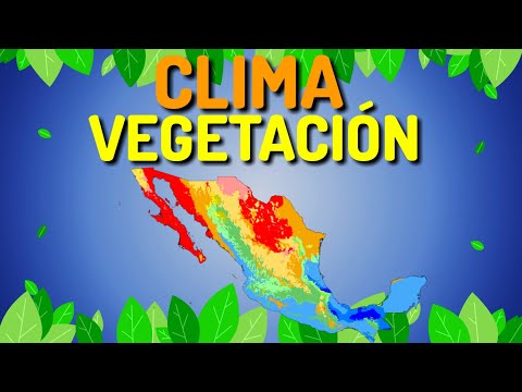 Video: ¿Cuál es el clima de la región Oeste?