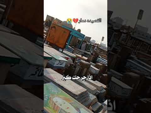 شسولفلك ع الفراك سيد فاقد ستوريات انستا حالات واتساب