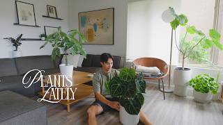 A Relaxing Plant Update | New Growth, Changes & Grow Lights screenshot 1