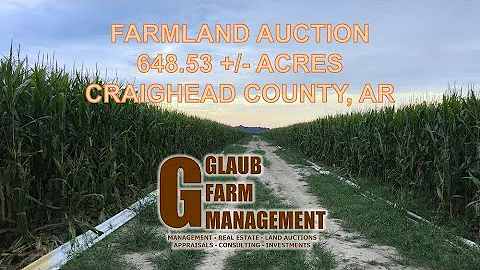 SOLD: Land Auction: 648.53+/- Acres in Craighead County, Arkansas