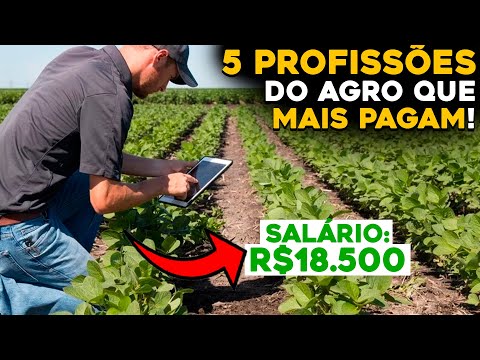 Vídeo: Quando essa vida agrícola vai começar?