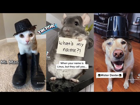 That’s Not My Name Tiktok Compilation