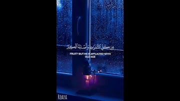 فأصابها إعصار فيه نار فاحترقت 🍂💫| محمد اللحيدان | سورة البقرة