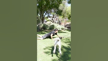 Lag Would Suck in Real Life. Part 3