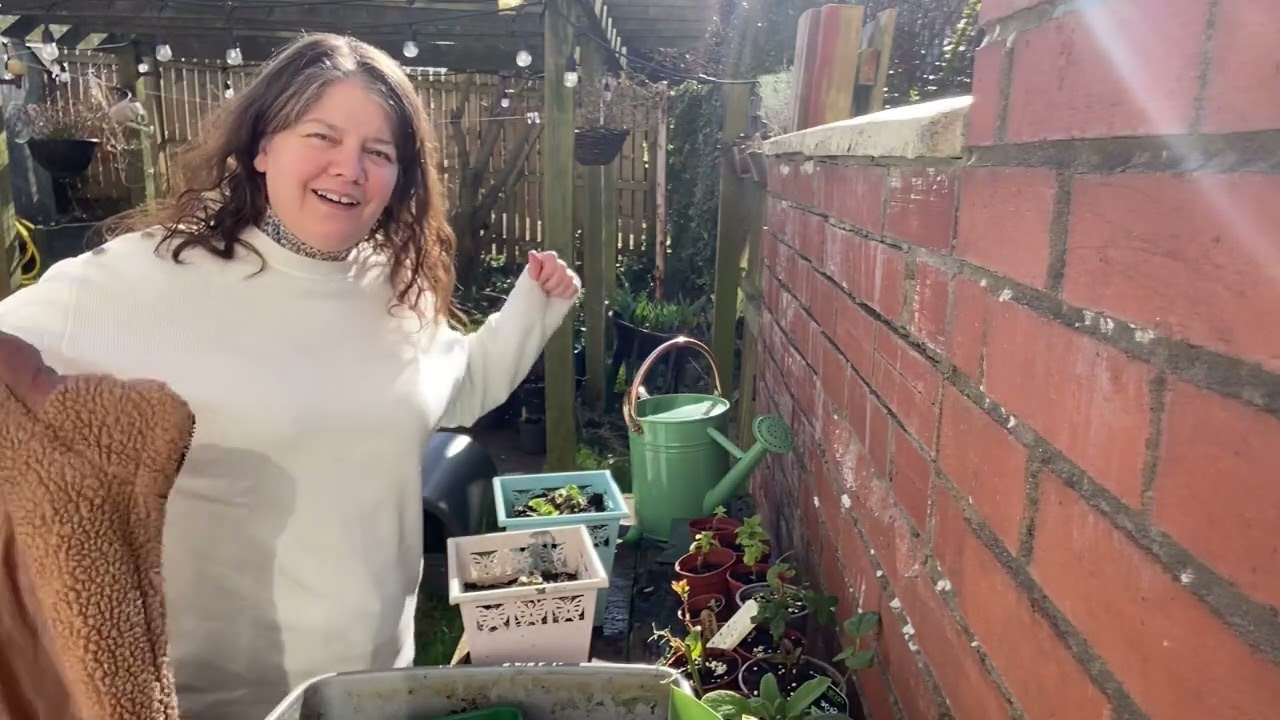 This Is What Slug Eggs and Lily Beetles Look Like! / Tackling Aphids / Planting Strawberries 