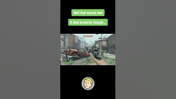 Well that scared me! | Fallout 4 #fallout4 #fallout #gaming #shorts