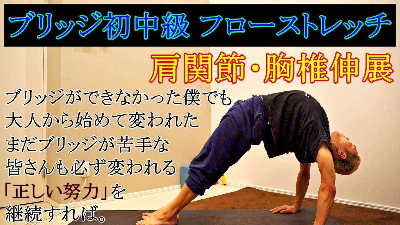 【ブリッジ初中級】肩と胸を柔らかくするフローストレッチ