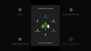 7OH vs. Traditional Kratom - The Truth About Kratom
