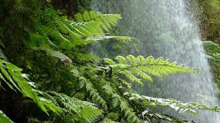 🌊 Classics in Nature: Exploring "The Wind in the Willows," Chapter 11- "Toad's Tears" 🐸 🐾