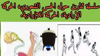 سلسلة تمارين 3 حول الاتصال العصبي(تمارين حول الحس الشعوري، الحركة الإرادية، الحركة اللاإرادية)