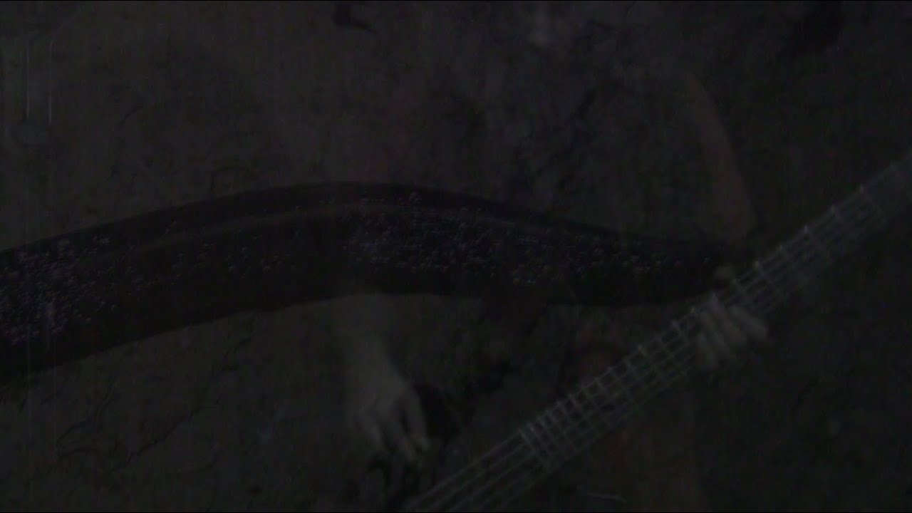 Thomas Holter - Leech (Warning: flashing lights)