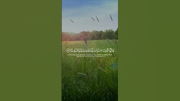 تلاوة هادئة تريح الأعصاب 😴🎧 القارئ: اسلام صبحى سورة: الأحزاب 💙❤