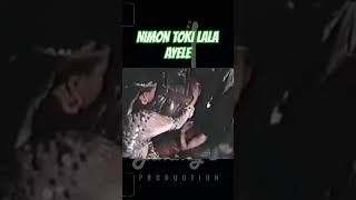 Un Voyage Musical Entre Passion Et Authenticité.