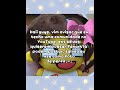 postando mais um vídeo para eu nn flopar #meow #desflopacomu #socorro #vaiprofycaramba #desflopa ;-;