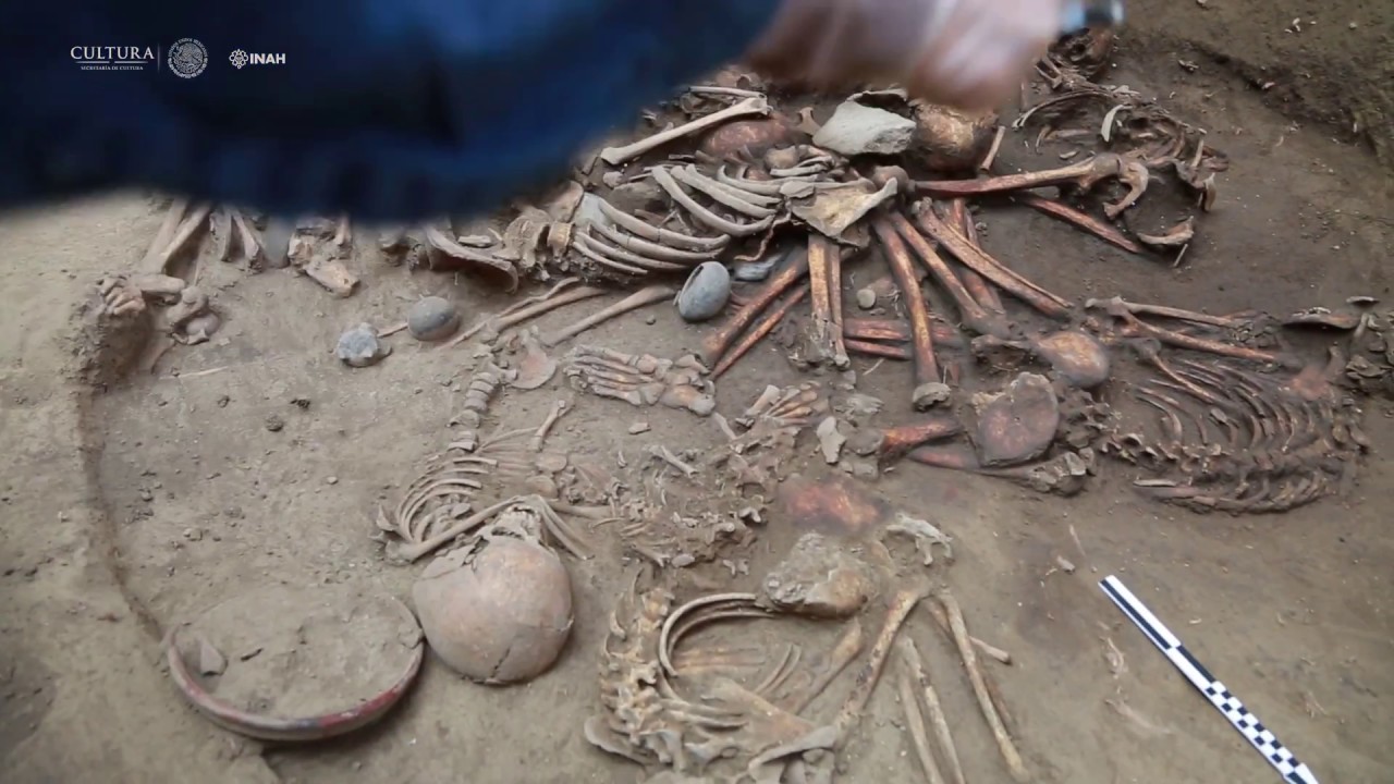 Mysterious Circle of Ancient Human Skeletons With Arms Linked Discovered in  Mexico