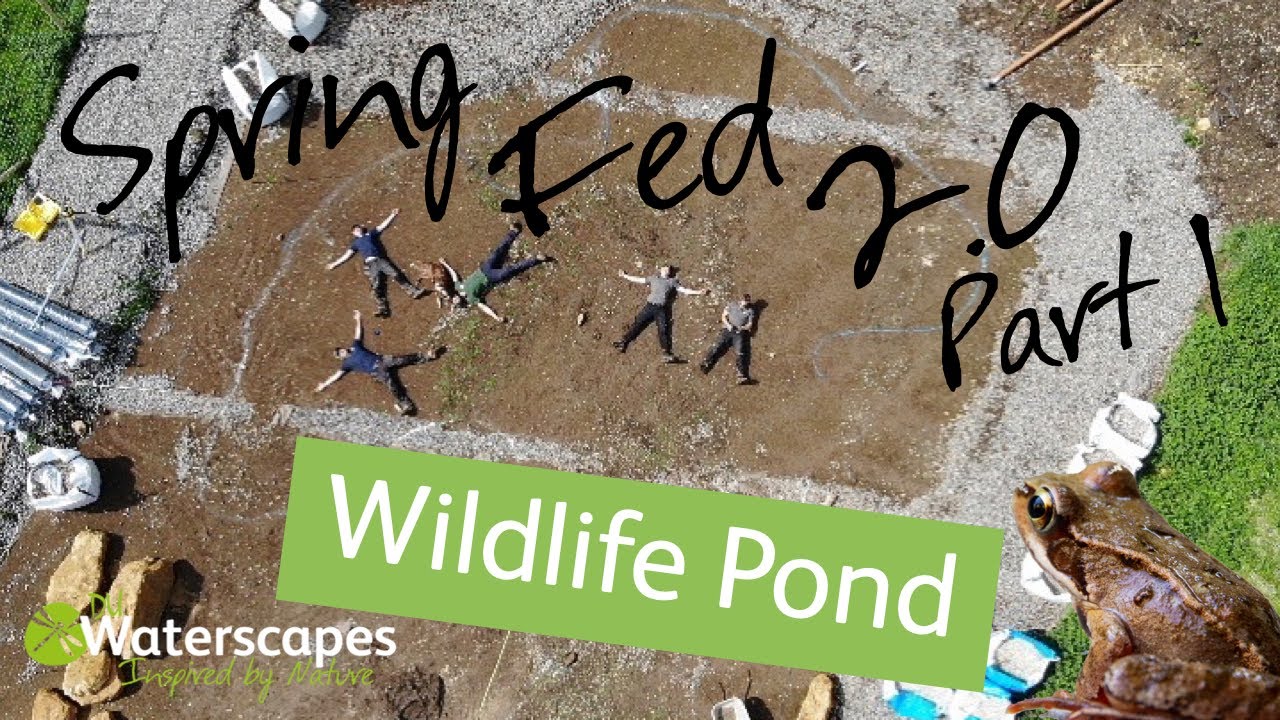 Stone Causeway over Spring Fed Wildlife POND PT.1