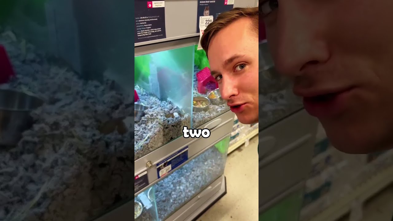 The BEST Pet At PETSMART