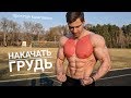 КАК НАКАЧАТЬ ГРУДЬ? САМЫЙ ЭФФЕКТИВНЫЙ КОМПЛЕКС