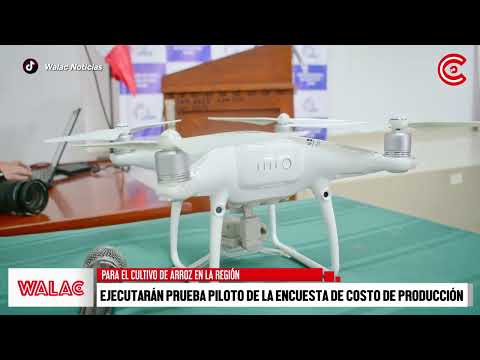 Ejecutarán prueba piloto de la Encuesta de Costo de Producción para el cultivo de arroz en la región