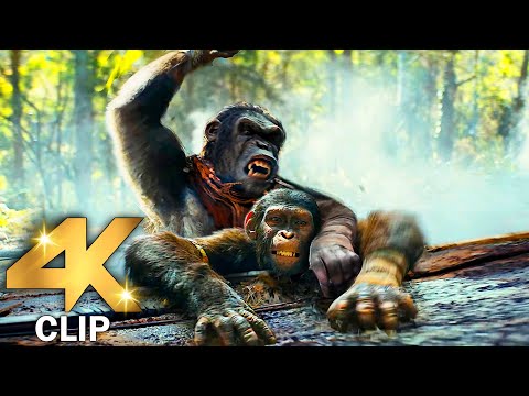 KINGDOM OF THE PLANET OF THE APES All CLIPS + Trailer 4K ULTRA HD 2024