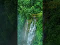कुछ नज़ारे दिल को छू जाते हैं... 💚🏔️🌳#NatureLover #Waterfall  #PeacefulVibes #EvergreenMelodies 🌿♥️