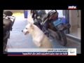    06 01 2016 متفرقات
